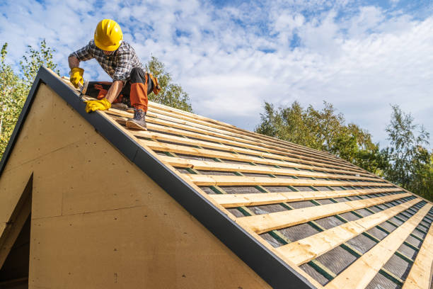 Best Roof Inspection Near Me  in Metlatla, AK